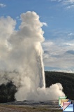 old faithful