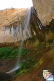 Upper Calf creek Falls