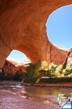 Around Escalante