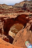 Cassidy arch