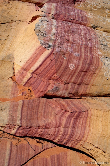 Diapositive suivante