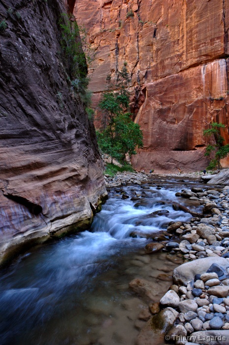 Diapositive suivante