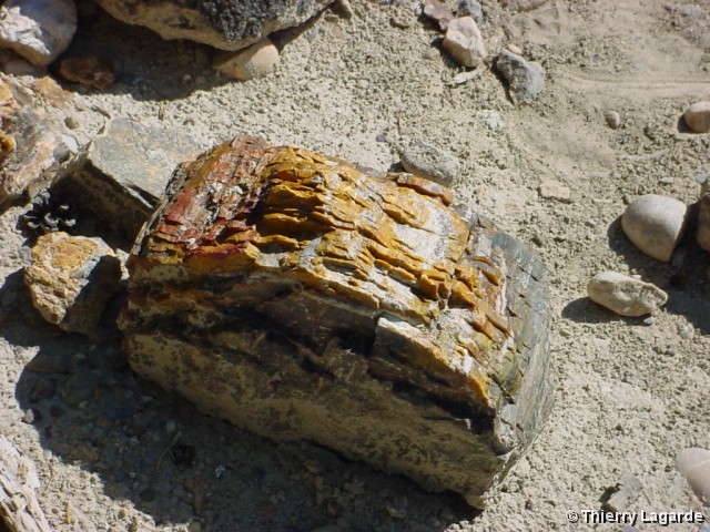 Diapositive suivante