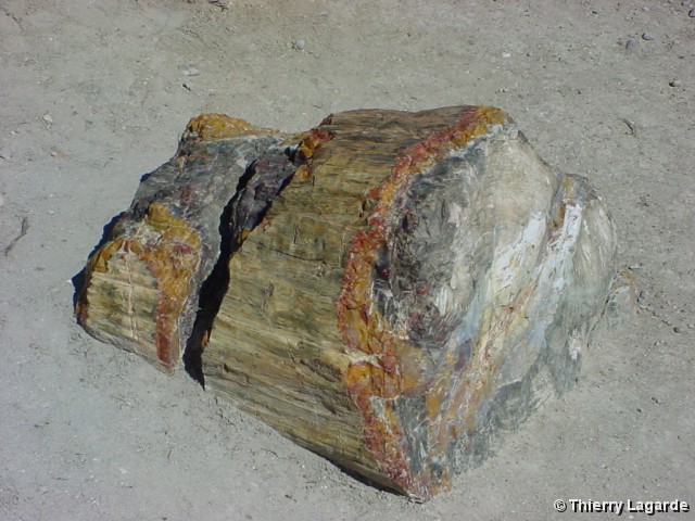 Diapositive suivante