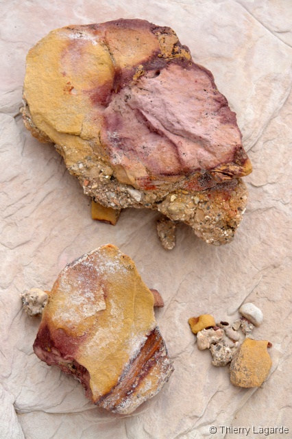 Diapositive suivante
